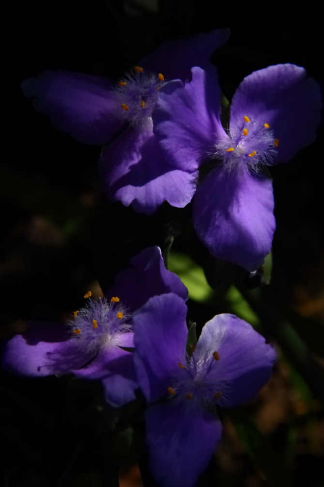 2012 05 31 4649